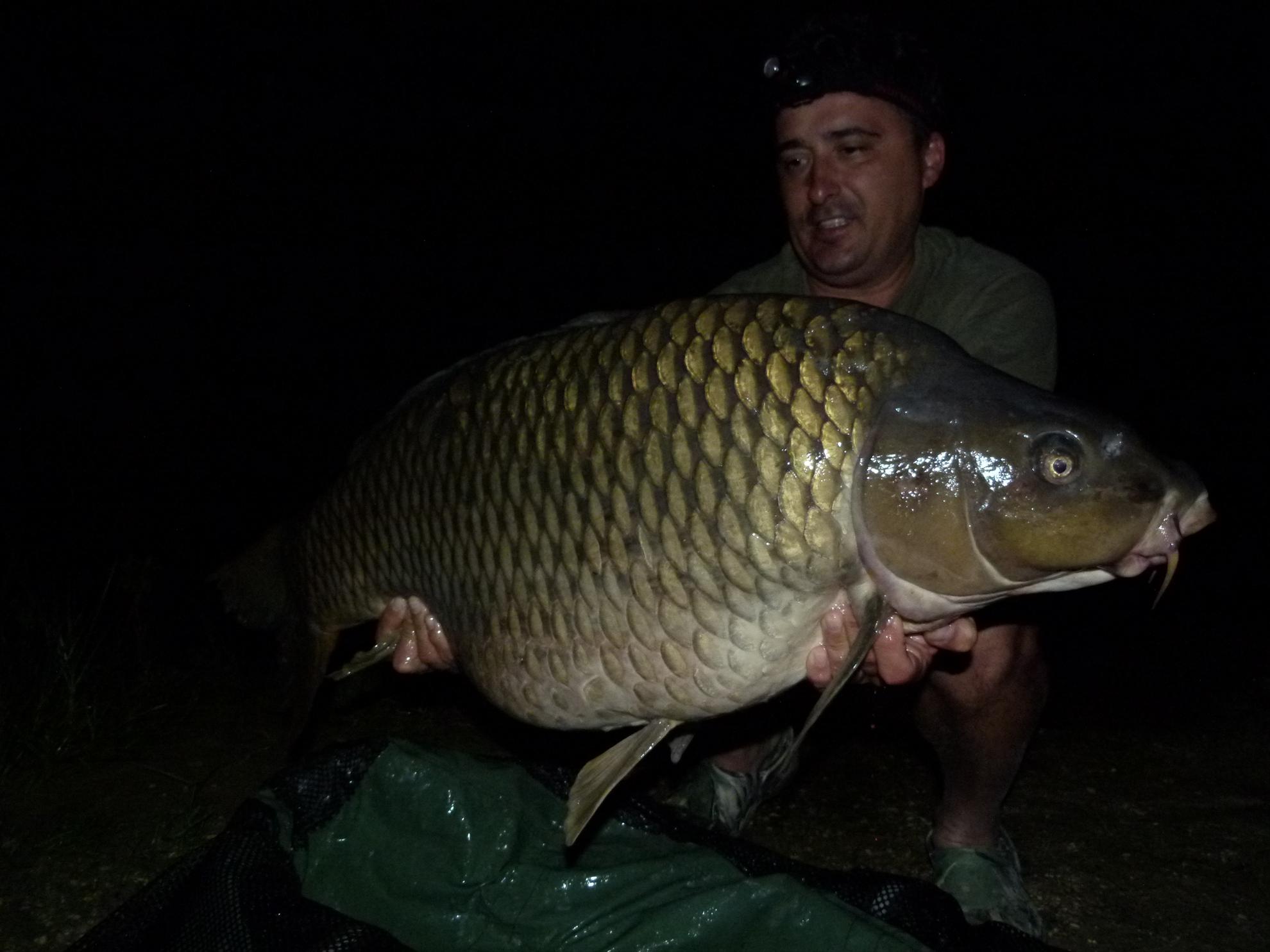 PDB 2013 - 21,500 kg